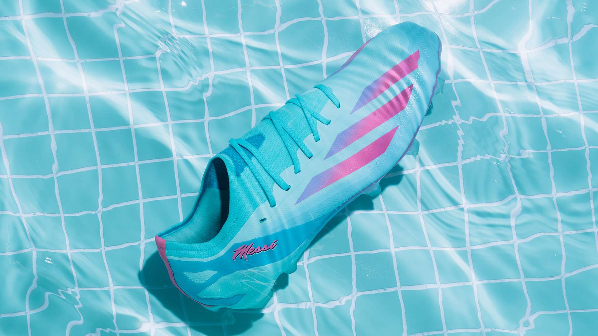 并以其纯白 并以其纯白