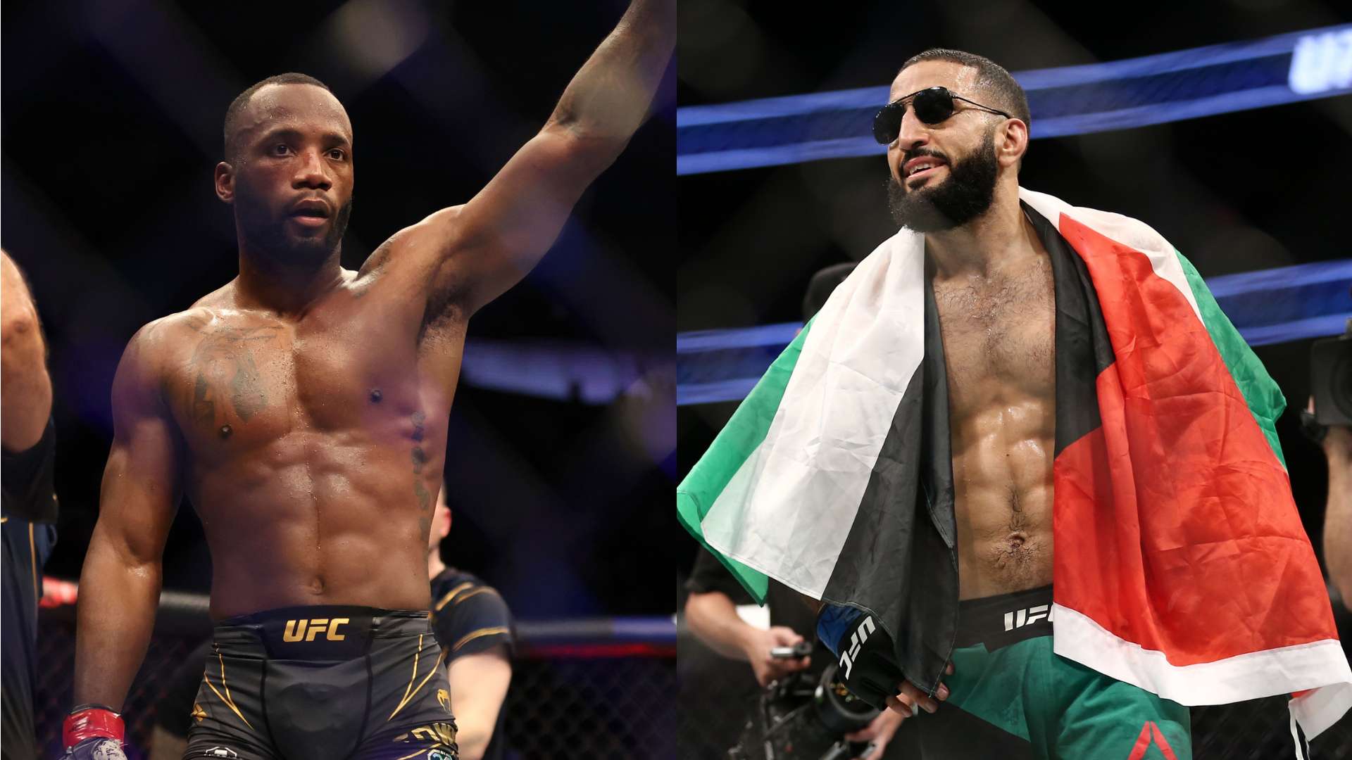 看点以及它 看点以及它