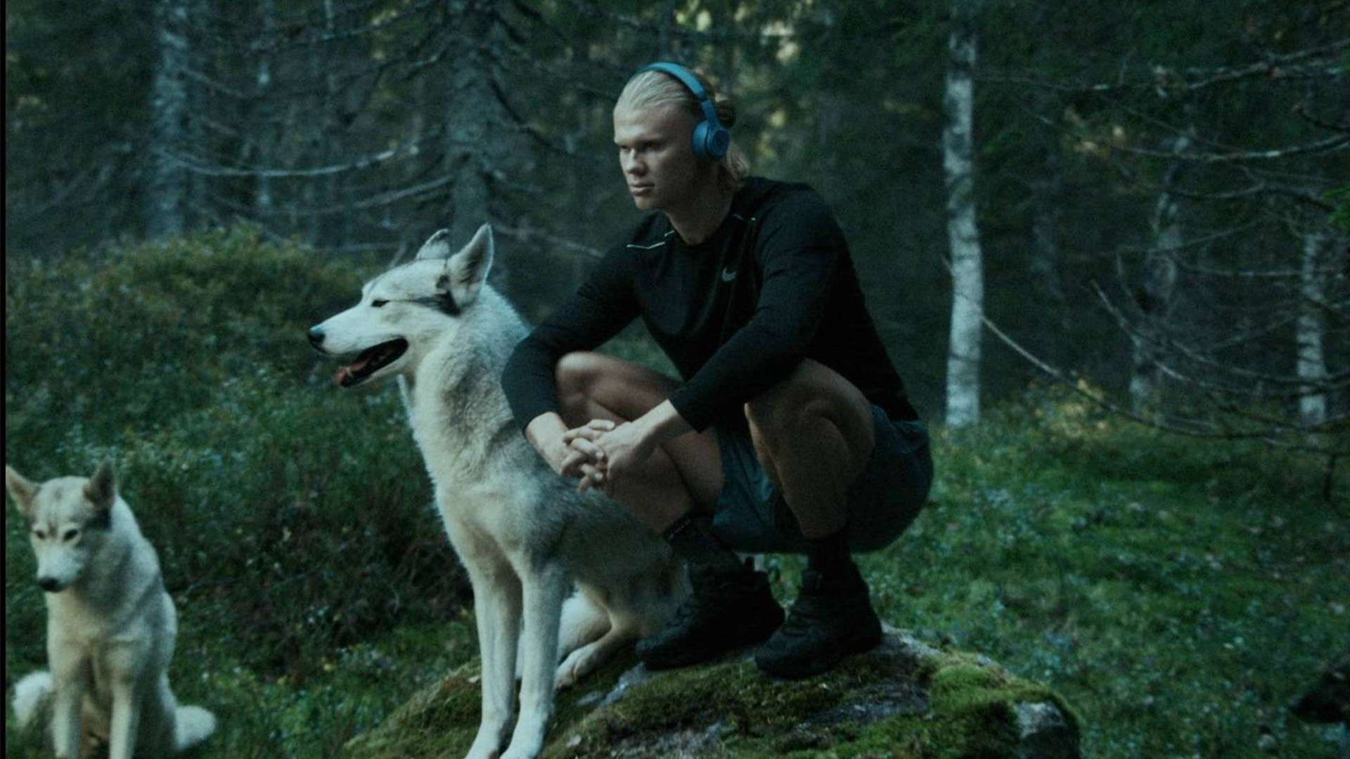 量身定制了 量身定制了