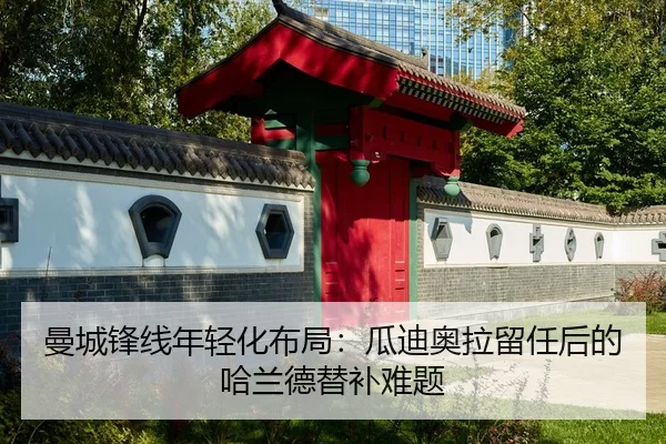 man-cheng-feng-xian-nian-qing-hua-bu-ju-gua-di-ao-la-liu-ren-hou-de-ha-lan-de-ti-bu-nan-ti-2-876.jpg